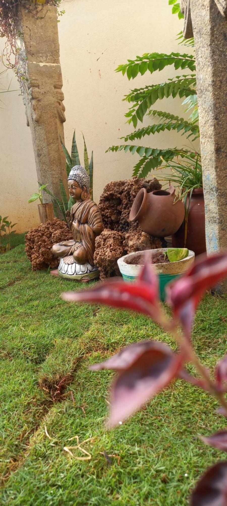 Shi'S Shambhavi Homestay -On The Way To Isha, Maruthamalai كويمباتور المظهر الخارجي الصورة